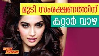 മുടി സംരക്ഷണത്തിന് കറ്റാര്‍വാഴ | Beauty Companion Malayalam