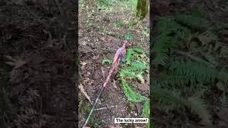 The lucky arrow! Iron Will Broadhead S100