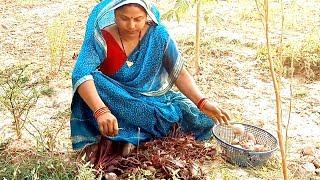 खेतोँ में कुछ चुकंदर रह गए थे तो आज हमने उसका इससे बेहतर उपाय कुछ नहींसमझा | Chukandr ka hlwa