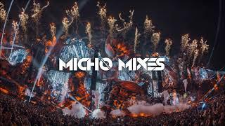 TOMORROWLAND 2024 - BEST EDM MIX 2024 - Best Songs, Remixes & Mashups