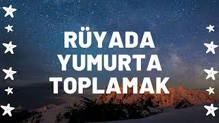 Rüyada Yumurta Toplamak Ne Anlama Gelir I Tüm Detaylar