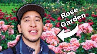 BEST Things to See & Do at the PORTLAND INTERNATIONAL ROSE TEST GARDEN