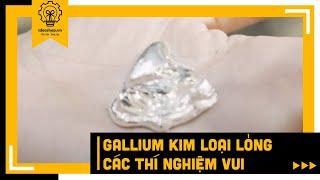 REVIEW | THÍ NGHIỆM KHOA HỌC VUI GALLIUM | IDEASHOPVN