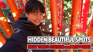 Tokyo Local Guide: Hidden Shrine with the Best Views Near Tokyo Station & Roppongi Ep.551