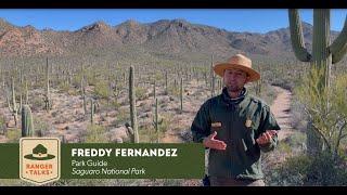 Ranger Talks - Saguaro National Park