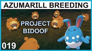 Breeding a Belly Drum Azumarill - Project Bidoof Part 19 - Pokemon Breeding Guide