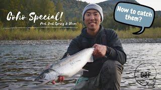 CRAZY COHO SALMON ACTION! How to catch them? Vedder River, BC