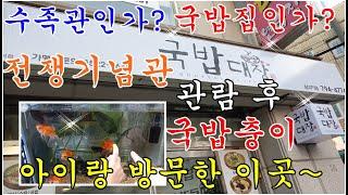 {전쟁기념관/삼각지역 맛집 국밥 대장}수족관이 있는 국밥집?? 전쟁기념관 관람 후 국밥충이 아이랑 밥먹으러가면 좋아요~삼각지역 맛집~전쟁기념관 맛집~용산 맛집~{War Memori