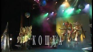 СВЕРДЛОВСКАЯ МУЗКОМЕДИЯ: КОШКА