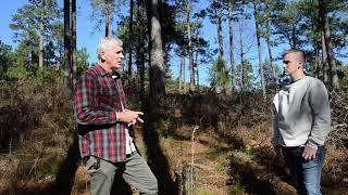 Montane Longleaf Pine Forests Risks, Mitigation, and Management