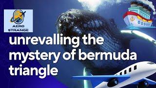 Unraveling the Mystery of the Bermuda Triangle | Aero Strange