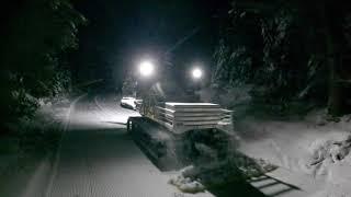 Lights On  -  Snow Rabbit At Night