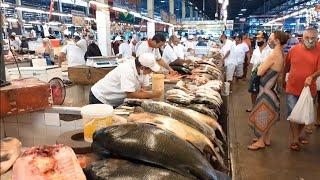 [4k] Mercado Municipal de Manaus, Peixes da Amazônia,EP 04