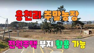 344 용천리 주말농장 매매 도로에 잘접한 흥해 전원주택부지매매 마을입구 포항 세컨하우스 흥해 우회도로부근 포항주택부지매매 흥해부동산 포항부동산 지목부동산