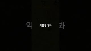 우리집 강아지가 악플달아달래ㅠ