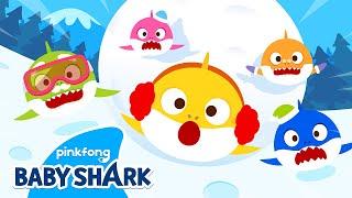 Baby Shark in Winter Time | Christmas Baby Shark | Winter Songs | Baby Shark Official