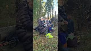Пирогово-Мамонтовка #дорогаВЛавру