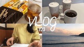 으니 VLOG #23ㅣ신혼부부의 일상 브이로그ㅣ플라스틱 줄이기, 대패는 사랑, 귀여운 댕댕이들, 영양제 챙겨먹기, 서브웨이 레시피