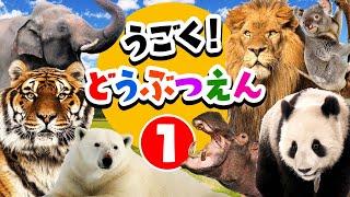 【動く動物園の生き物たち①】サファリカーに乗って色んな動物を探しに行こう！