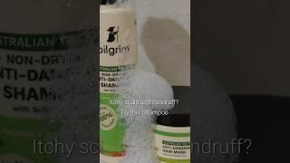 Pilgrim Anti- Dandruff shampoo  review #youtubeshorts #shortsfeed #shortvideo