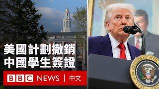 美國計劃撤銷中國學生簽證  亞洲學校吸引受影響學生 － BBC News 中文