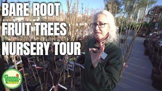 Bare Root Fruit Trees Tour at Green Thumb Nursery (Full Walk-through)