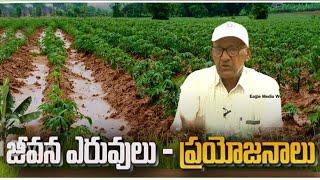 జీవన ఎరువులని ఎలా తయారు చేసుకోవాలి ? Natural Farming | Agriculture Tips | Eagle Media Works