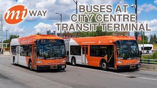 MiWay Buses at City Centre Transit Terminal