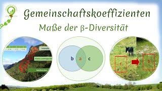 Präsenz- und Massen-Gemeinschaftskoeffizienten (Beta-Diversitäts-Maße): Jaccard- und Gleason- Index