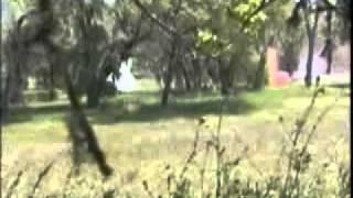 7th PSYOP Group Pre-Deployment Train-Up 2005