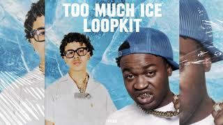[FREE] Luh Tyler, Wizz Havinn, Veeze "Too Much Ice" loop kit