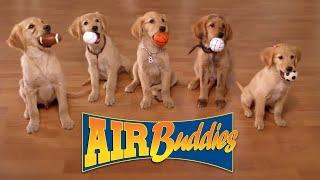 AIR BUDDIES: Cães Amigos - Brasil version