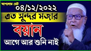 এত সুন্দর মজার বয়ান আগে আর শুনি নাই | Lutfur Rahman Waz 2022 | লুৎফর রহমান ২০২২ | Holy Vision |