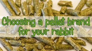 Choosing the Best Rabbit Pellet Brand