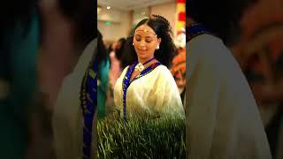 Nguse Abadi #habesha #music #dance #relax #mood #reels #shorts