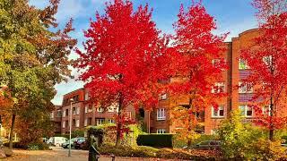 Ein Herbsttag in Hamburg Bramfeld