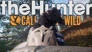 Moose Attack! - thehunter Call of the Wild