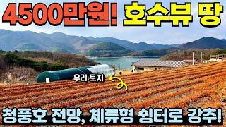 [350] 흔치 않은 호수 전망 소형,소액 토지 / 주말 농장, 놀이터, 체류형 쉼터로 강력 추천! / 충청북도 제천시 청풍면 토지 매매 #제천부동산 #전원주택 #토지