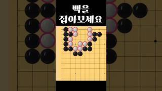 쉬운 바둑 사활 - 백을 절묘하게 잡아보세요