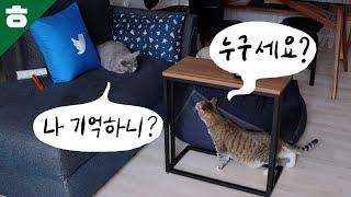 6년 만에 친구를 다시 만난 구름이?  3일간의 짜릿한 동거!