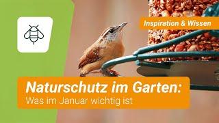 Naturschutz im Garten: Was im Januar wichtig ist