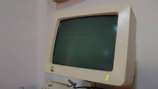 Quicktake 100 for Apple II