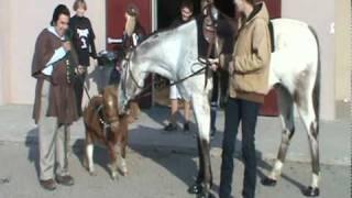 Visalia CA Mini Horse meets The King & Queen.dv