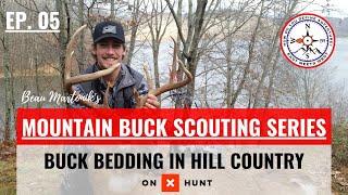 HOW TO HUNT BUCK BEDDING IN HILL COUNTRY | Mountain Buck Scouting Series