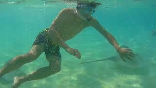 抓魟魚尾巴 Tahiti  French Polynesia