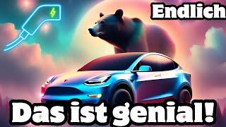 Die Eierlegende Wollmilchsau für jeden Tesla Fahrer + E-Auto Fahrer; NOEIFEVO 11 kW Mobile Charger