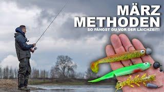 Perch and zander in March - These methods catch now