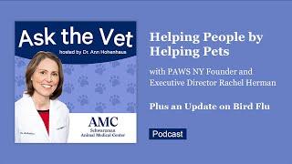 Ask the Vet: Helping People by Helping Pets with PAWS NY Founder & Executive Director Rachel Herman