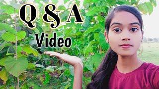 Q&A Video ️ • Tulsi Dewangan Vlogs ️