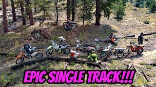 SoCal's Endless Epic Single Track | Best Kept Dirt Bike Secret